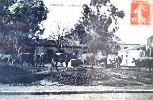 CHARON 001